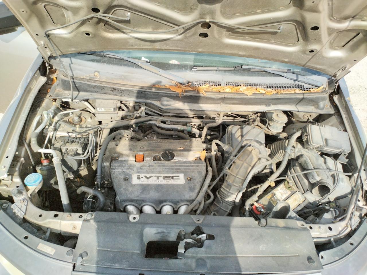 Photo 7 from auction – 2004 HONDA ELEMENT EX with VIN 5J6YH18644L016565
