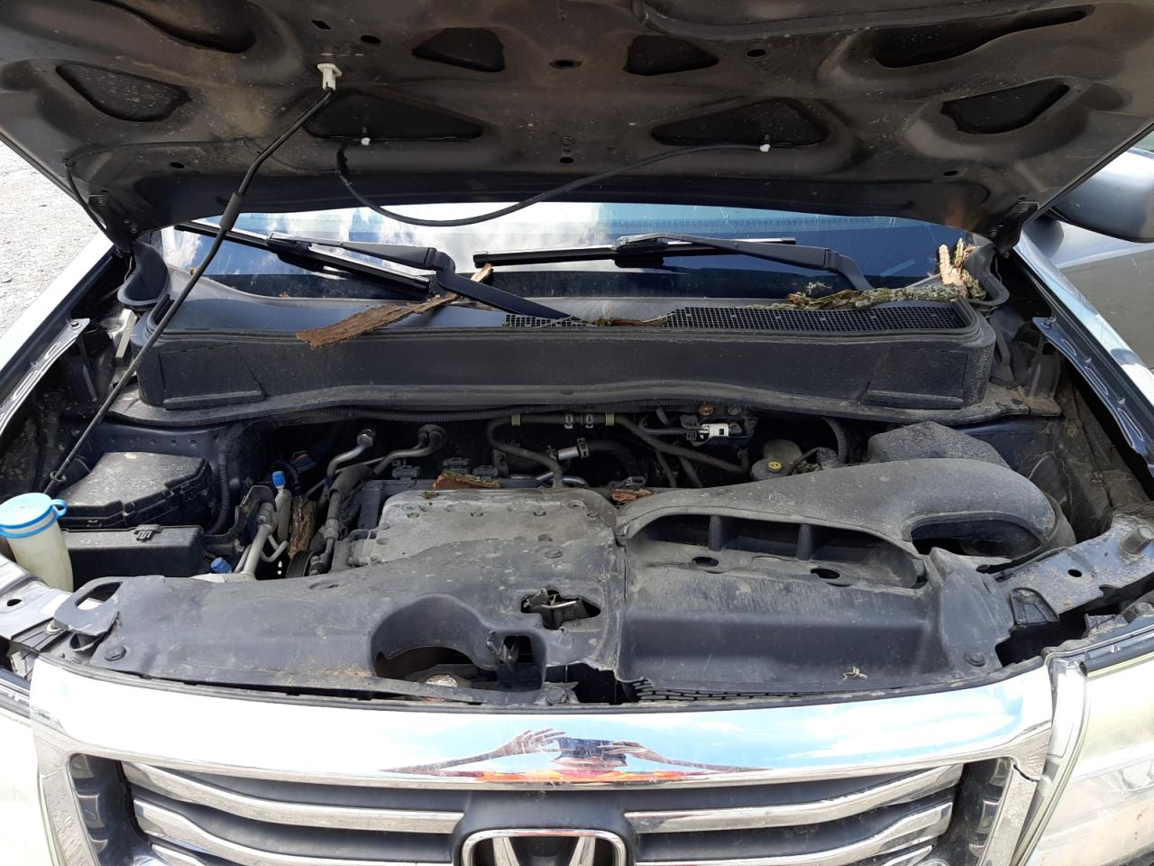 Photo 7 from auction – 2013 HONDA PILOT EXLN with VIN 5FNYF4H77DB071696