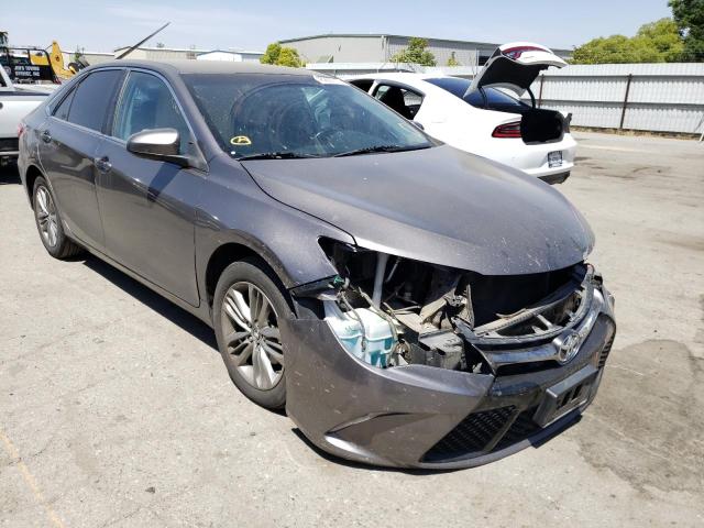 TOYOTA CAMRY LE 2016 with VIN 4T1BF1FK6GU182498 - Photo from auction