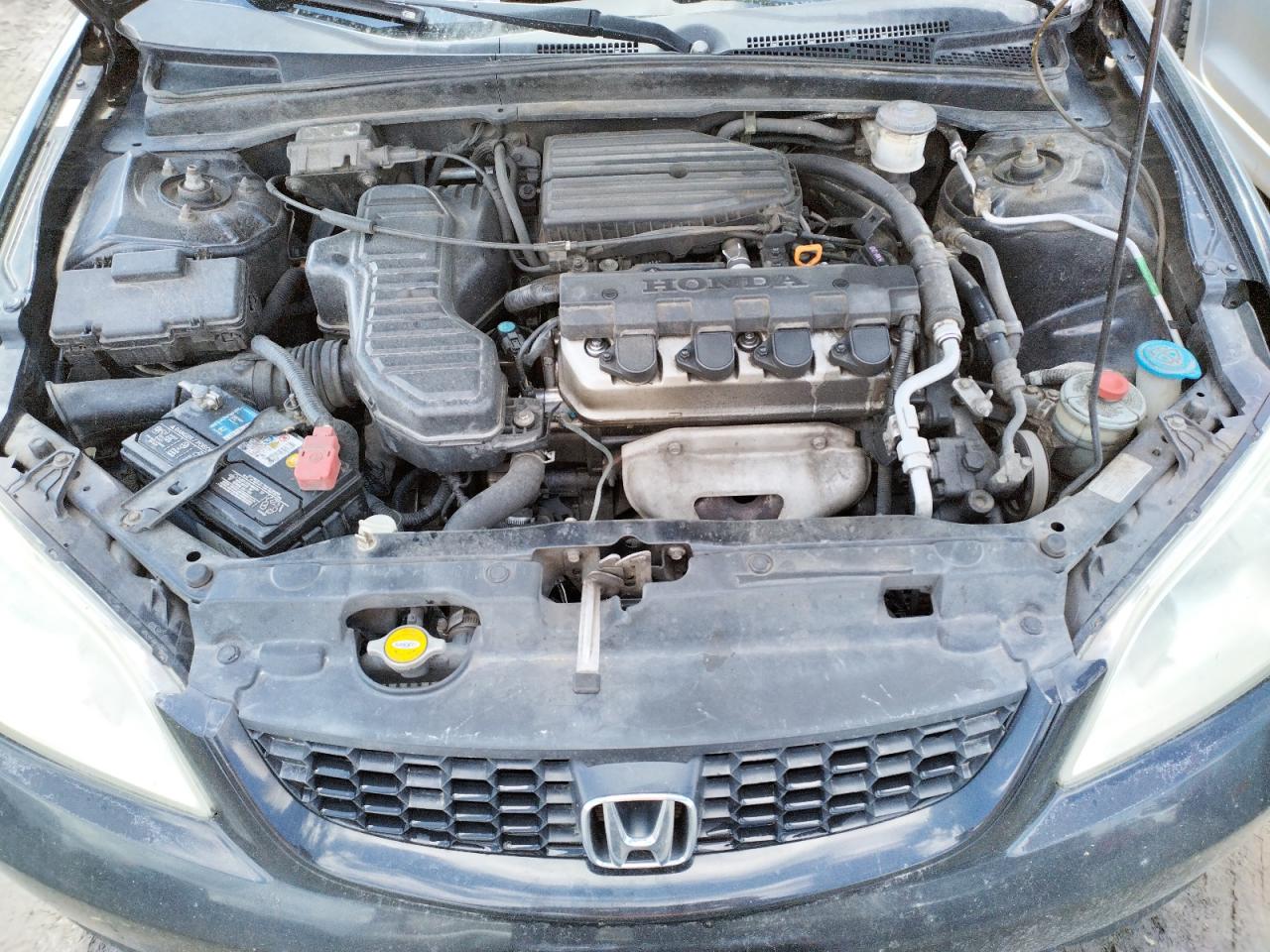 Photo 12 from auction – 2004 HONDA CIVIC LX with VIN 1HGEM22544L071707