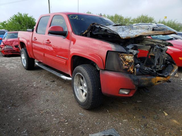 CHEVROLET SILVERADO 2009 with VIN 3GCEK33M29G244516 - Photo from auction