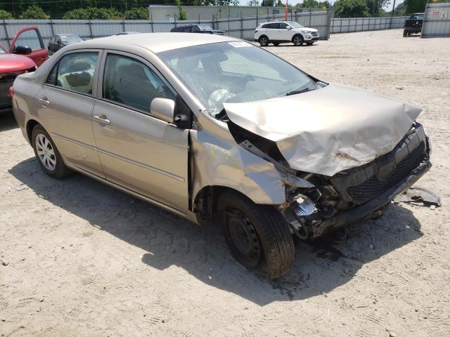 TOYOTA COROLLA BA 2010 with VIN 2T1BU4EE3AC404278 - Photo from auction