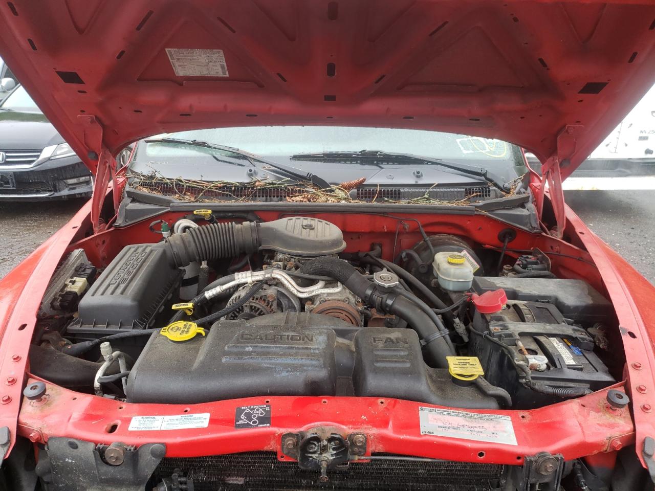 Photo 7 from auction – 2001 DODGE DAKOTA with VIN 1B7GG22X81S212537