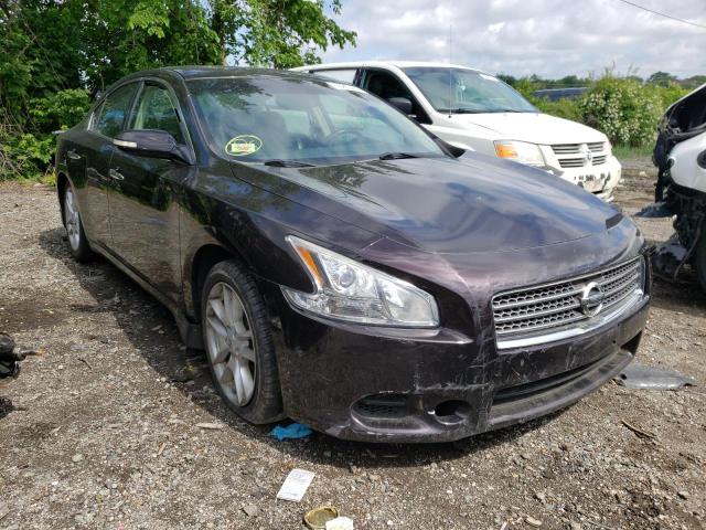 NISSAN MAXIMA S 2010 with VIN 1N4AA5AP2AC810097 - Photo from auction