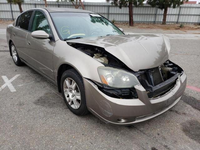 NISSAN ALTIMA S 2005 with VIN 1N4AL11D05C317274 - Photo from auction