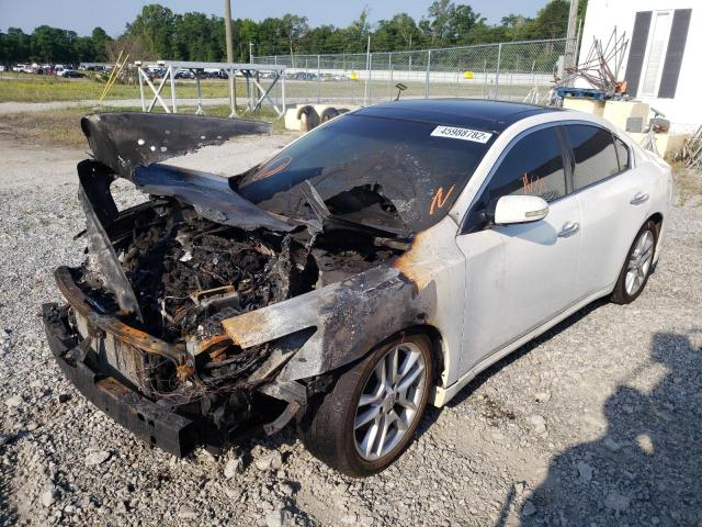 Photo 2 from auction – 2011 NISSAN MAXIMA S with VIN 1N4AA5AP1BC854674