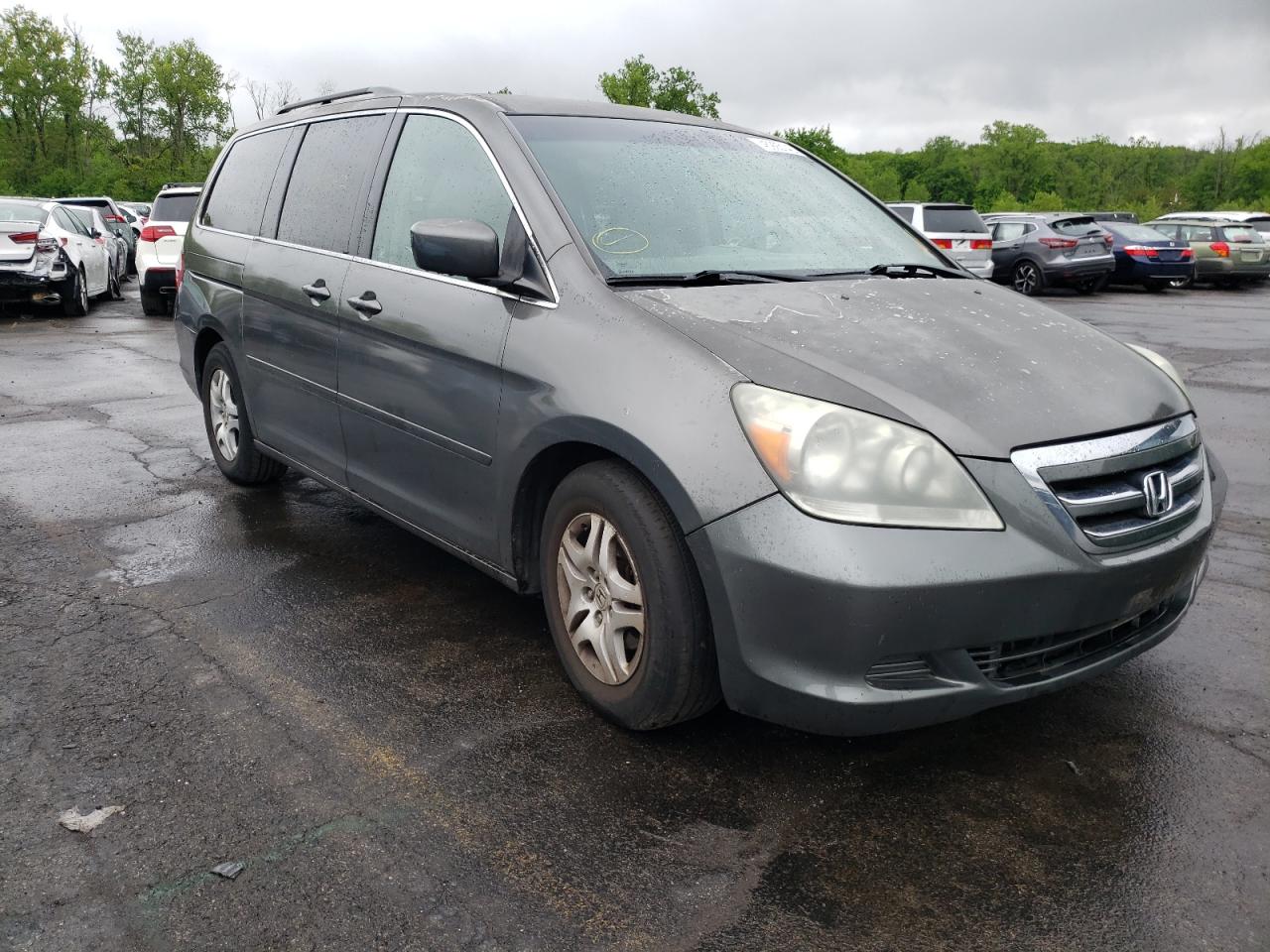 HONDA ODYSSEY EX 2007 with VIN 5FNRL38427B455032 - Photo from auction