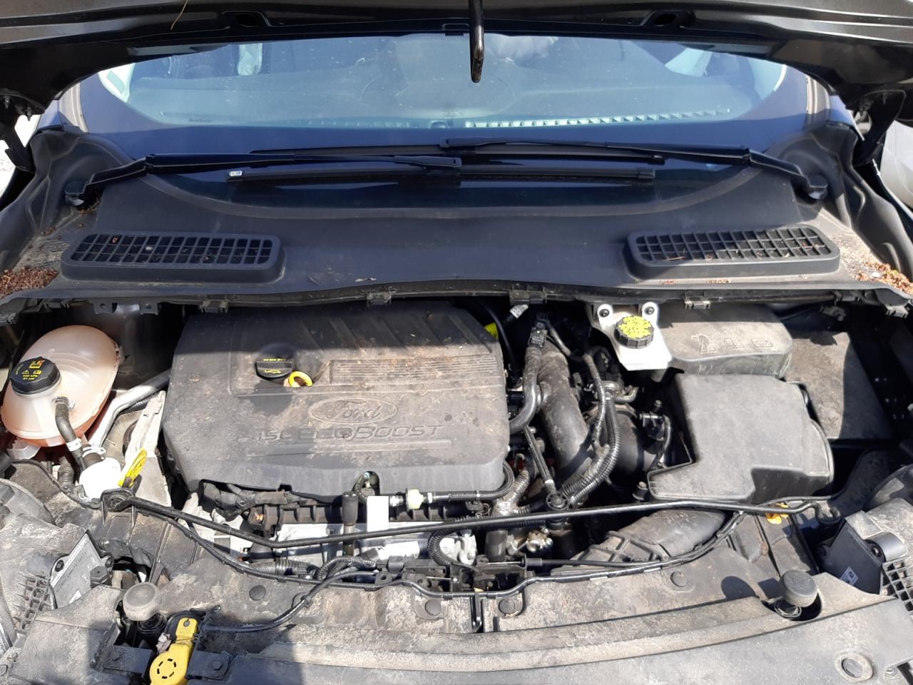 Photo 7 from auction – 2017 FORD ESCAPE SE with VIN 1FMCU0GDXHUD82953