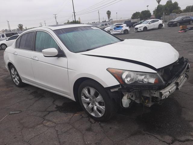 Photo 1 from auction – 2010 HONDA ACCORD EXL with VIN 1HGCP3F85AA023536