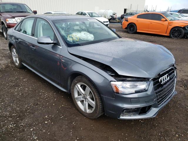 AUDI A4 PREMIUM 2015 with VIN WAUFFCFL4FN027254 - Photo from auction