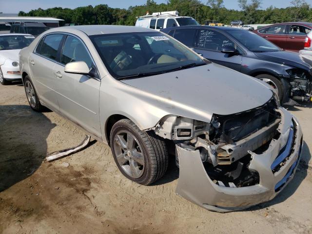 CHEVROLET MALIBU 2LT 2010 with VIN 1G1ZD5E02AF141323 - Photo from auction