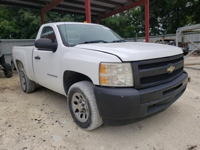 CHEVROLET SILVERADO 2010 with VIN 1GCPCPEX0AZ230736 - Photo from auction
