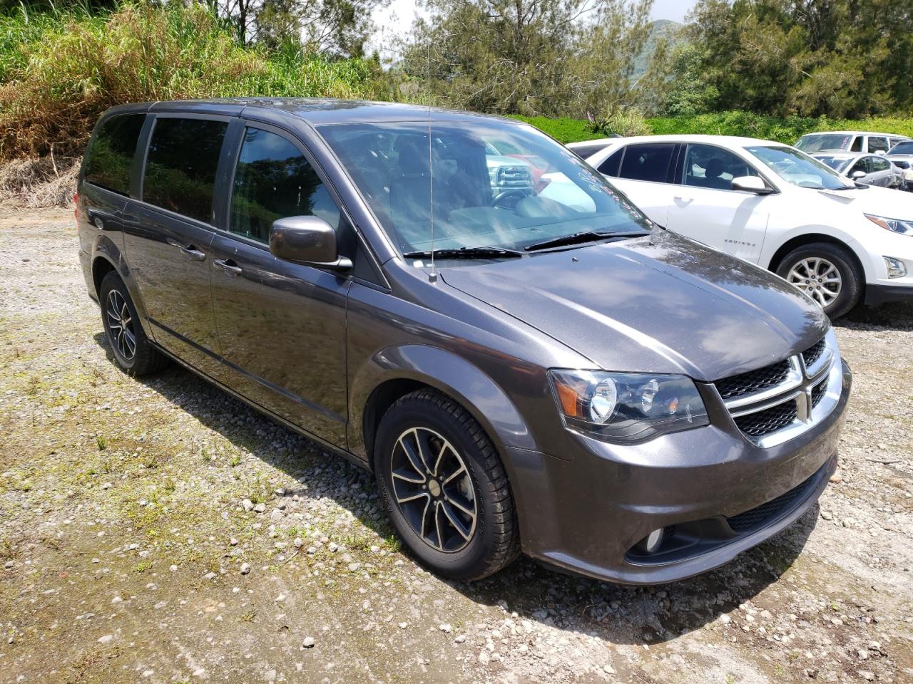 DODGE GRAND CARA 2019 with VIN 2C4RDGEG7KR536009 - Photo from auction