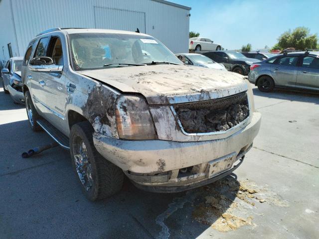 CADILLAC ESCALADE L 2008 with VIN 1GYEC63828R156902 - Photo from auction