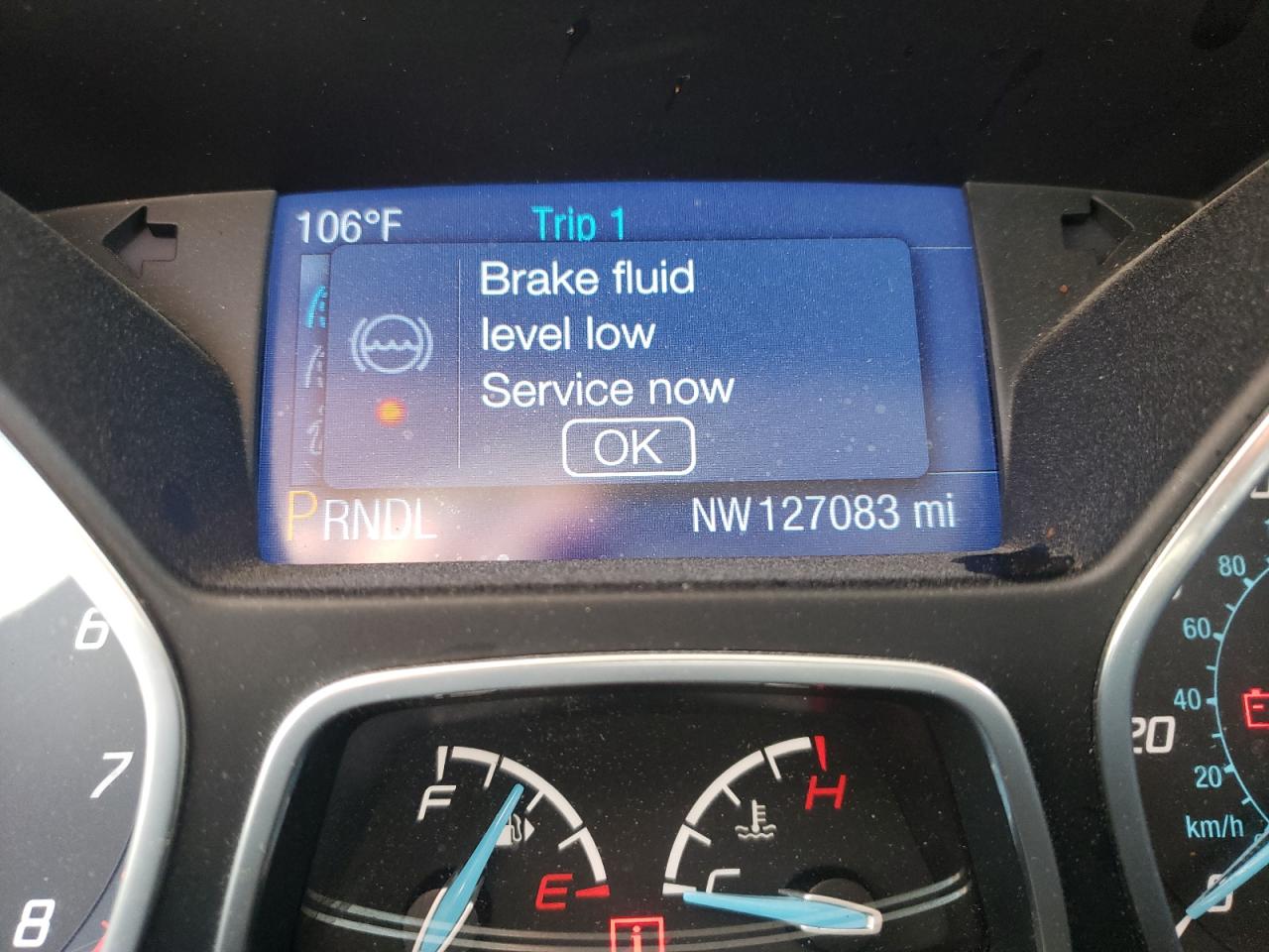 Photo 8 from auction – 2014 FORD FOCUS SE with VIN 1FADP3F22EL152669