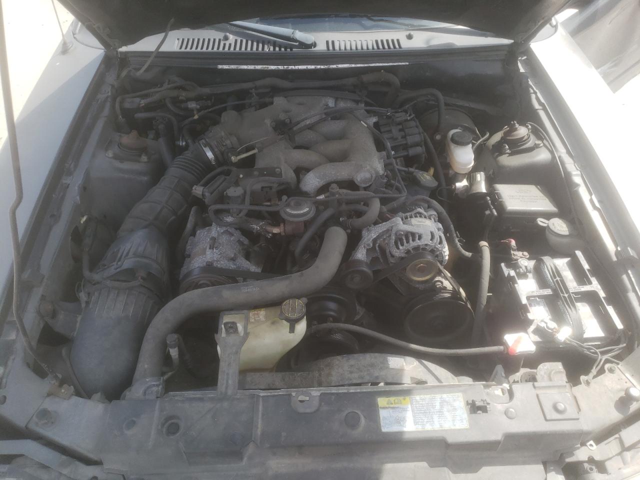 Photo 7 from auction – 2003 FORD MUSTANG with VIN 1FAFP44433F441705
