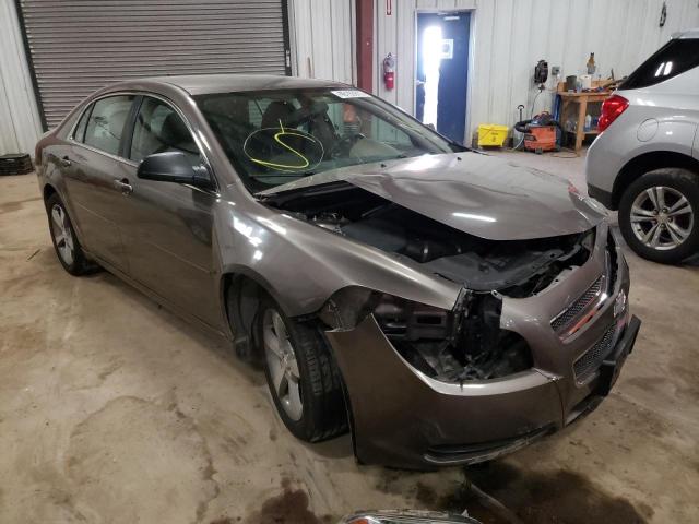 CHEVROLET MALIBU LS 2011 with VIN 1G1ZB5EU3BF278488 - Photo from auction