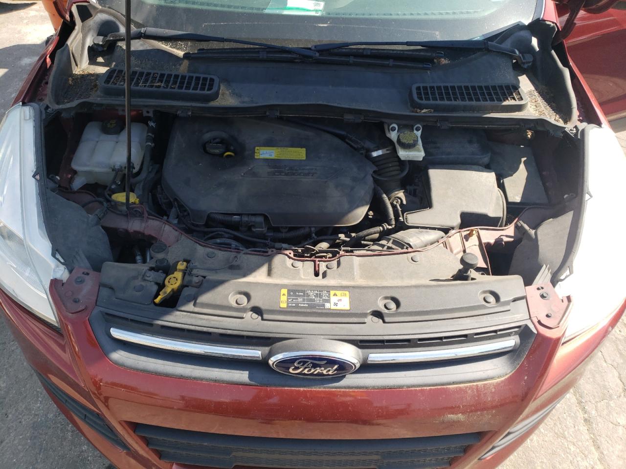 Photo 7 from auction – 2014 FORD ESCAPE SE with VIN 1FMCU0GX7EUB27389