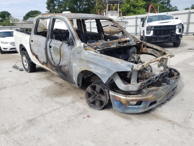 DODGE RAM 1500 2010 with VIN 1D7RV1CT8AS263059 - Photo from auction