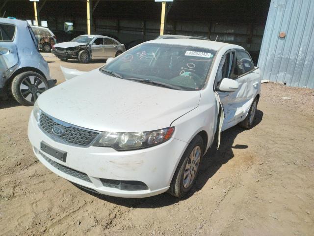 Photo 2 from auction – 2013 KIA FORTE EX with VIN KNAFU4A24D5696406