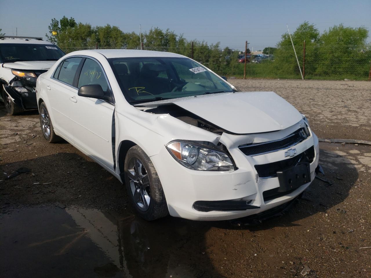 CHEVROLET MALIBU LS 2012 with VIN 1G1ZB5E05CF165494 - Photo from auction
