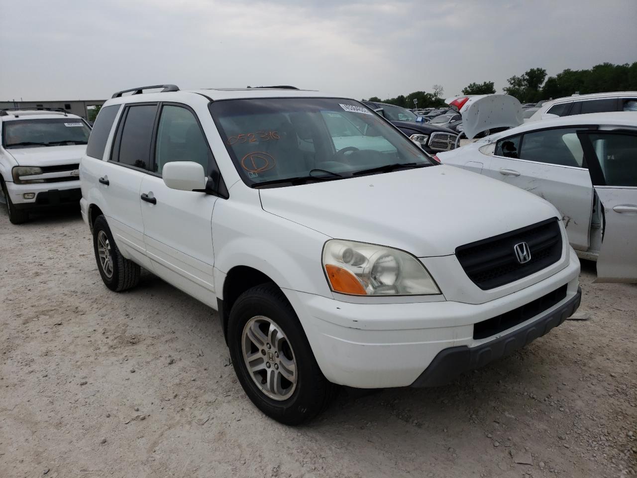 HONDA PILOT EXL 2005 with VIN 5FNYF185X5B052316 - Photo from auction