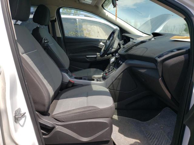 Photo 5 from auction – 2014 FORD ESCAPE SE with VIN 1FMCU9G9XEUD19489