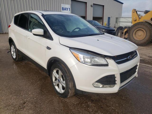 Photo 1 from auction – 2014 FORD ESCAPE SE with VIN 1FMCU9GXXEUA64003