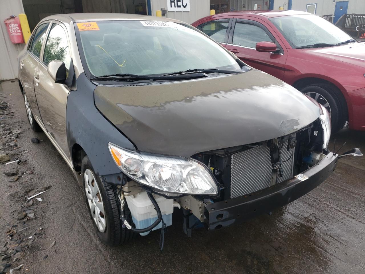 TOYOTA COROLLA BA 2009 with VIN 1NXBU40E39Z151769 - Photo from auction