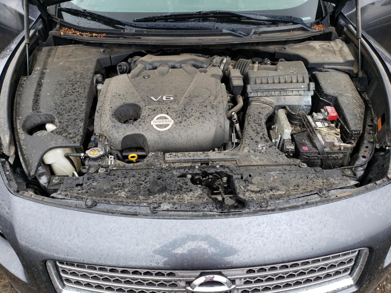 Photo 11 from auction – 2010 NISSAN MAXIMA S with VIN 1N4AA5AP0AC862750