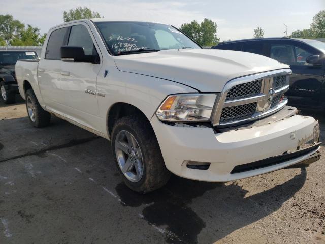 DODGE RAM 1500 2009 with VIN 1D3HV13TX9S810230 - Photo from auction