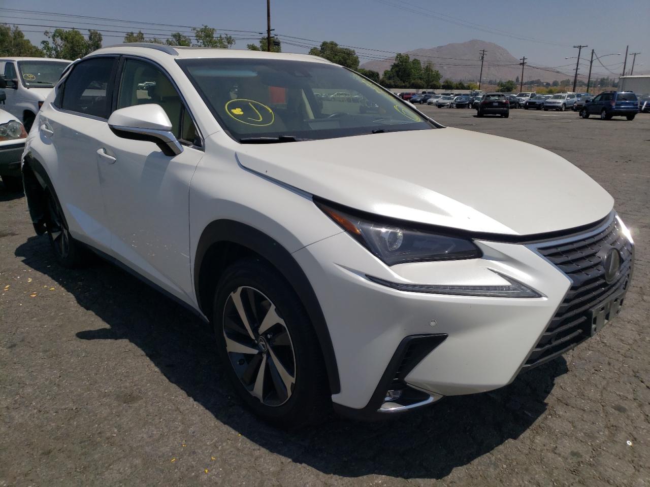 LEXUS NX 300 BAS 2019 with VIN JTJYARBZ2K2118197 - Photo from auction