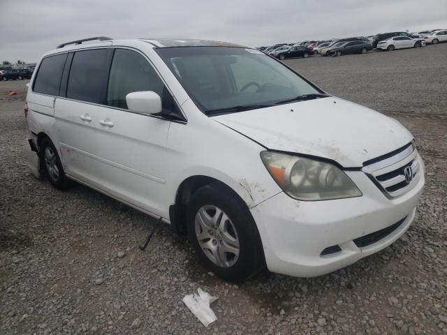 HONDA ODYSSEY EX 2007 with VIN 5FNRL38727B435406 - Photo from auction
