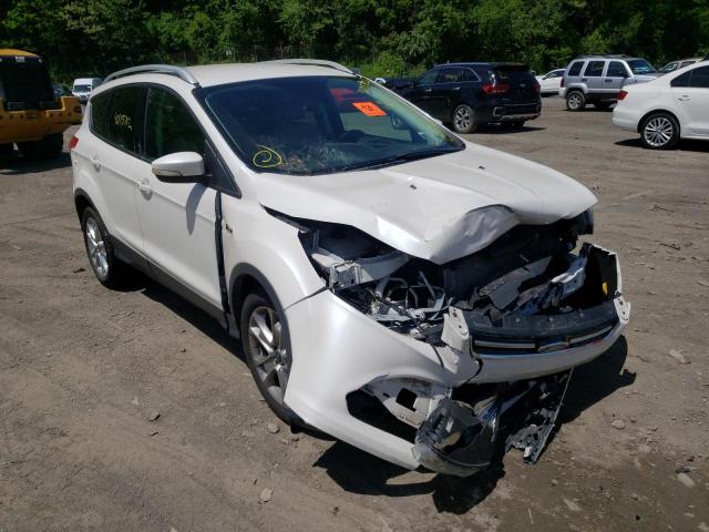 FORD ESCAPE TIT 2014 with VIN 1FMCU9JX5EUC26502 - Photo from auction