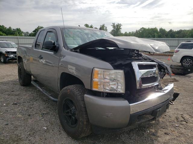 CHEVROLET SILVERADO 2008 with VIN 1GCEK19C38Z217567 - Photo from auction