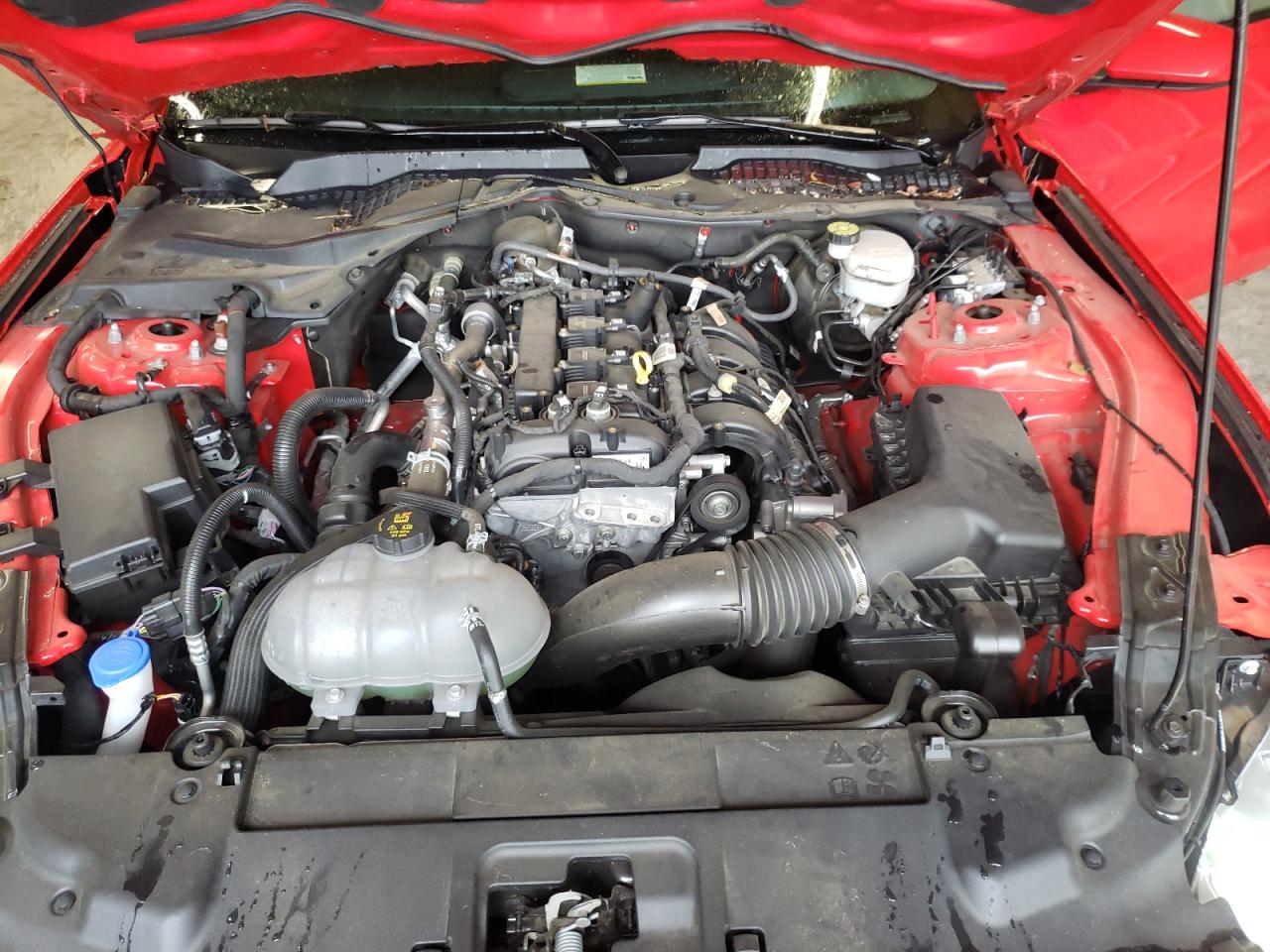 Photo 7 from auction – 2021 FORD MUSTANG with VIN 1FA6P8TH1M5102296