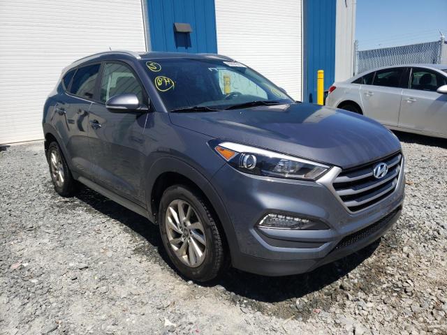 HYUNDAI TUCSON LIM 2017 with VIN KM8J3CA43HU332397 - Photo from auction