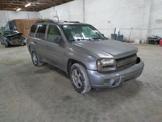 CHEVROLET TRAILBLAZE 2008 with VIN 1GNDS13S682100366 - Photo from auction