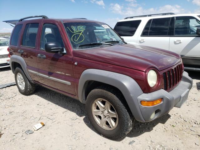 JEEP LIBERTY SP 2002 with VIN 1J4GL48K62W340623 - Photo from auction
