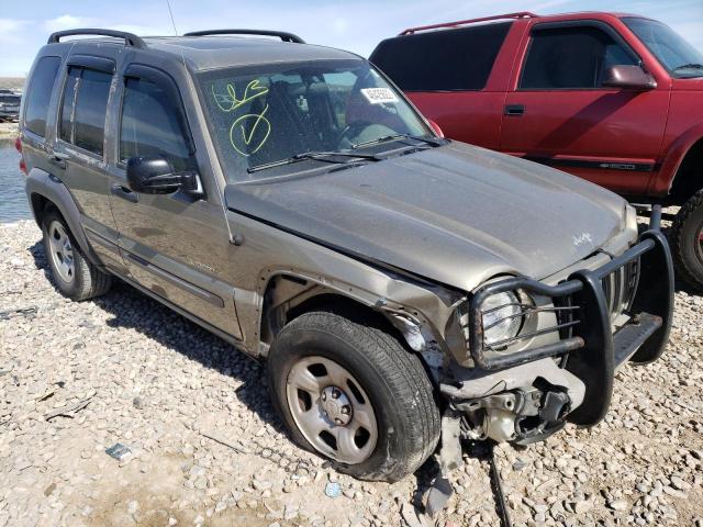 JEEP LIBERTY SP 2004 with VIN 1J4GL48K64W128629 - Photo from auction