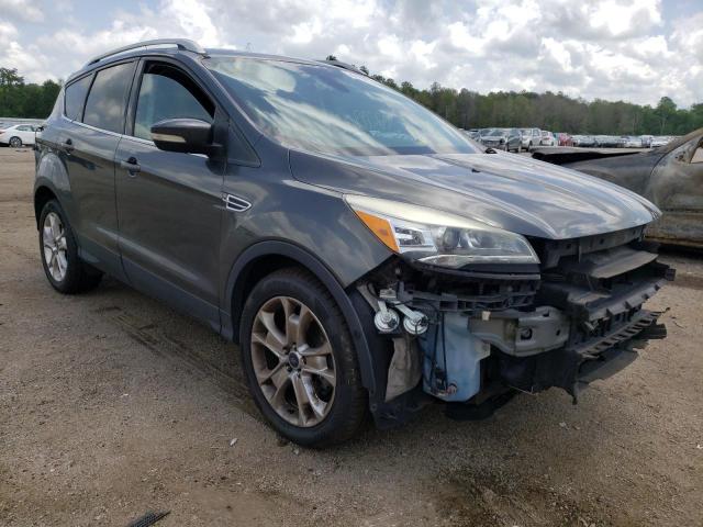 FORD ESCAPE TIT 2016 with VIN 1FMCU9J9XGUC30078 - Photo from auction