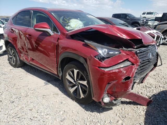 LEXUS NX 300H 2018 with VIN JTJBJRBZ0J2075127 - Photo from auction