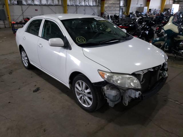 TOYOTA COROLLA BA 2010 with VIN 2T1BU4EE1AC431480 - Photo from auction