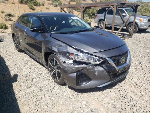 NISSAN MAXIMA SV 2022 with VIN 1N4AA6CV4NC503070 - Photo from auction