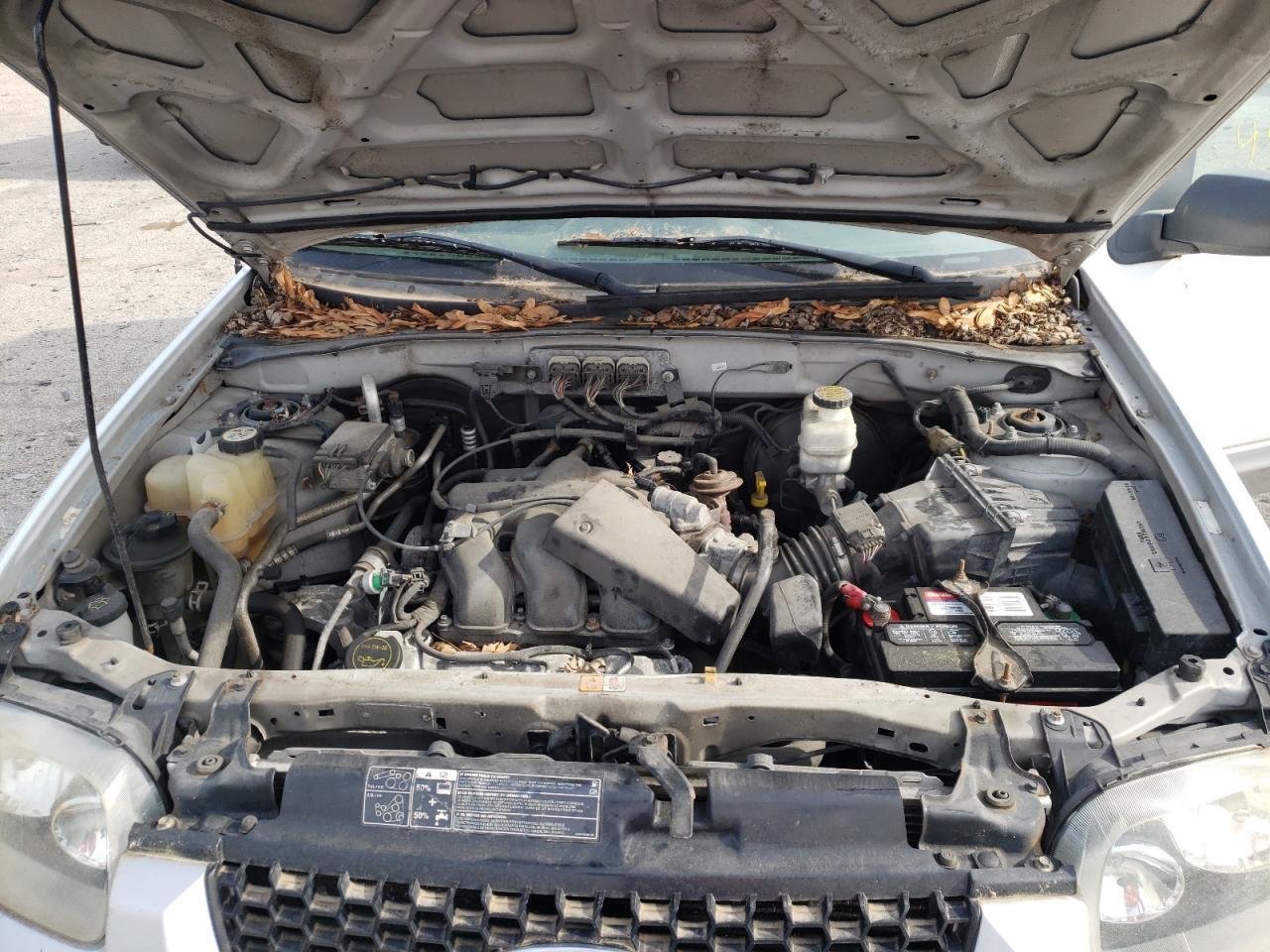 Photo 7 from auction – 2007 FORD ESCAPE XLT with VIN 1FMYU03177KB44019