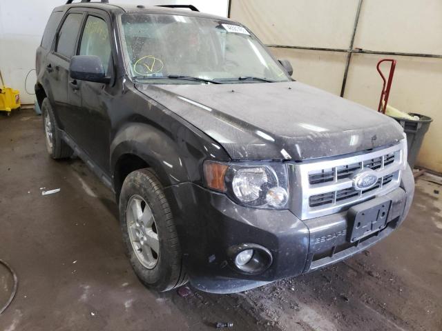 FORD ESCAPE XLT 2009 with VIN 1FMCU03G29KA28762 - Photo from auction