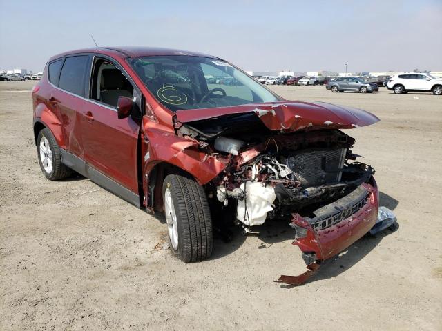 FORD ESCAPE SE 2014 with VIN 1FMCU0GX0EUB80452 - Photo from auction