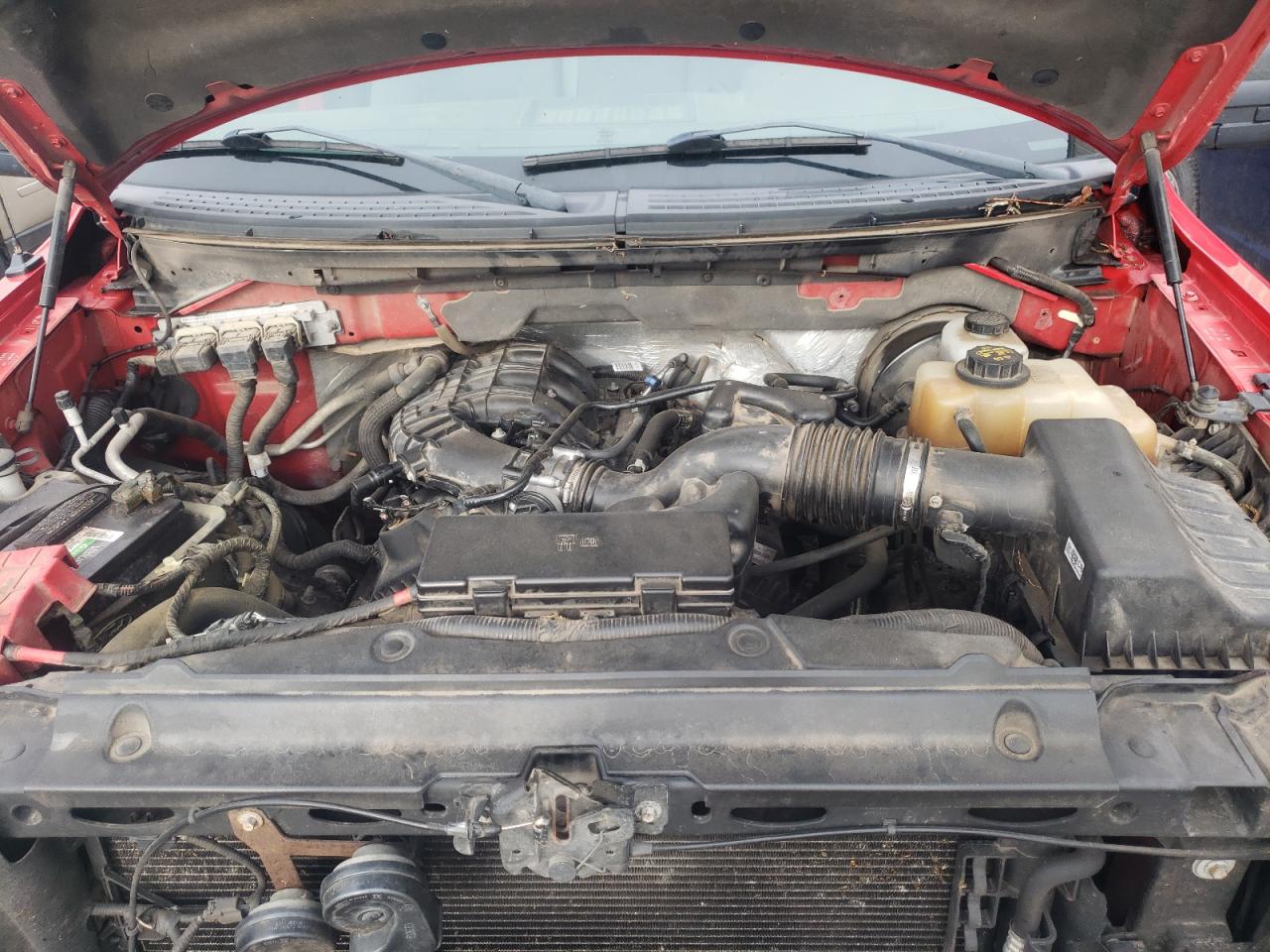 Photo 7 from auction – 2013 FORD F150 with VIN 1FTMF1CM1DKD84689