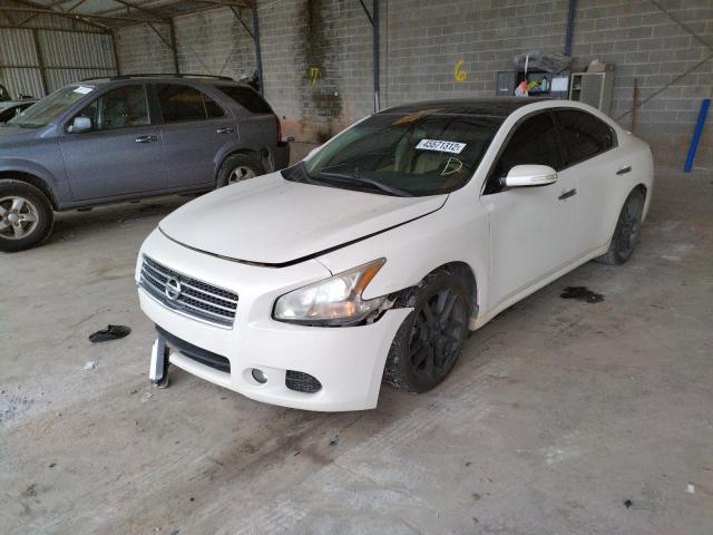 Photo 2 from auction – 2010 NISSAN MAXIMA S with VIN 1N4AA5AP3AC816913