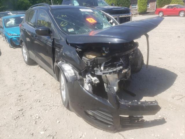 FORD ESCAPE SE 2014 with VIN 1FMCU9G94EUD38894 - Photo from auction